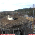 17_10-nest.jpg