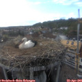 17_55-nest.jpg