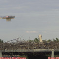 18_00-mast.jpg