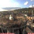 18_30-nest.jpg