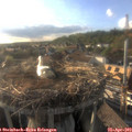 18_35-nest.jpg
