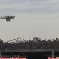 18_55-mast.jpg