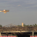 19_05-mast.jpg