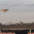 19_25-mast.jpg