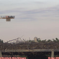 19_30-mast.jpg
