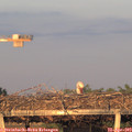 19_50-mast.jpg