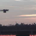 06_25-mast.jpg
