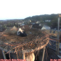 06_25-nest.jpg