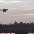 06_30-mast.jpg