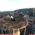 06_30-nest.jpg