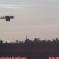 06_35-mast.jpg