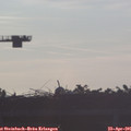 06_40-mast.jpg