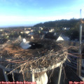 07_00-nest.jpg
