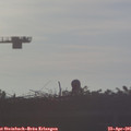 07_05-mast.jpg