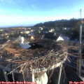 07_05-nest.jpg