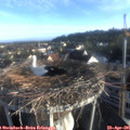 07_15-nest.jpg