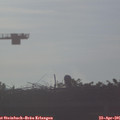 07_30-mast.jpg