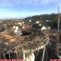 07_35-nest.jpg