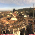 07_45-nest.jpg