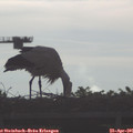 08_05-mast.jpg