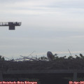 08_35-mast.jpg
