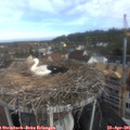 08_35-nest.jpg