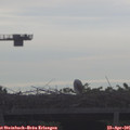 08_40-mast.jpg