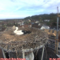 08_40-nest.jpg