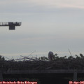 08_45-mast.jpg