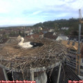 08_45-nest.jpg