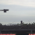 08_50-mast.jpg