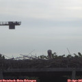 08_55-mast.jpg