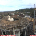 08_55-nest.jpg