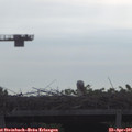 09_00-mast.jpg