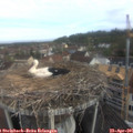 09_00-nest.jpg