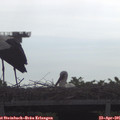 09_10-mast.jpg