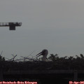 09_15-mast.jpg