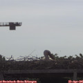 09_35-mast.jpg