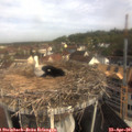 09_35-nest.jpg