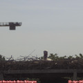 09_45-mast.jpg
