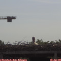 09_55-mast.jpg