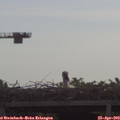 10_05-mast.jpg