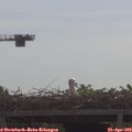 10_15-mast.jpg