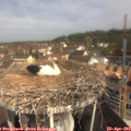 10_15-nest.jpg