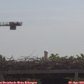 10_20-mast.jpg
