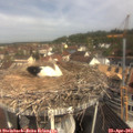 10_30-nest.jpg