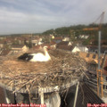 10_35-nest.jpg