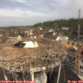 10_40-nest.jpg