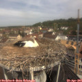 10_45-nest.jpg