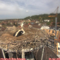 12_10-nest.jpg